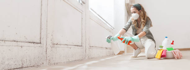 Best Mold Remediation for Healthcare Facilities  in Oasis, CA